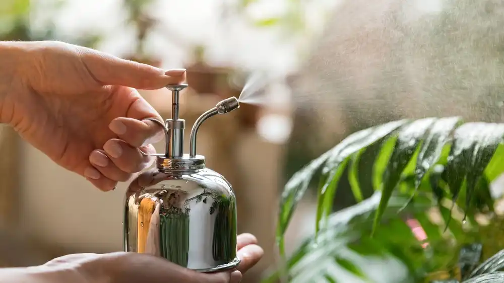 Adaptez la routine selon le type de plante