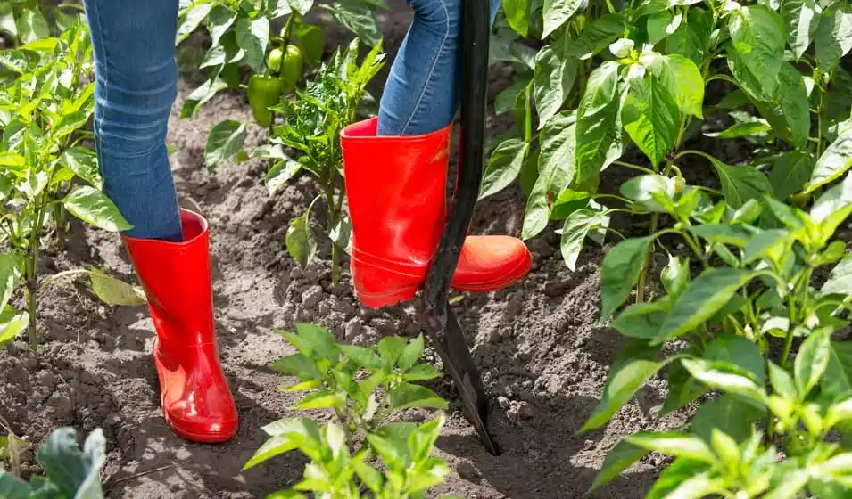 Choisissez une semelle qui accroche vraiment