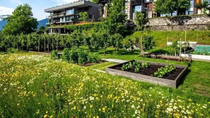 Comment tailler sans affaiblir la plante