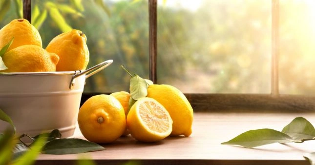Comment faire germer un citronnier chez soi