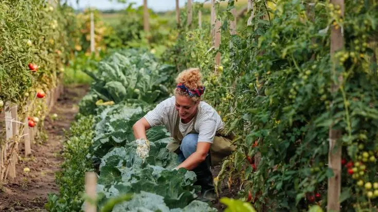 Associer légumes, fleurs et aromatiques